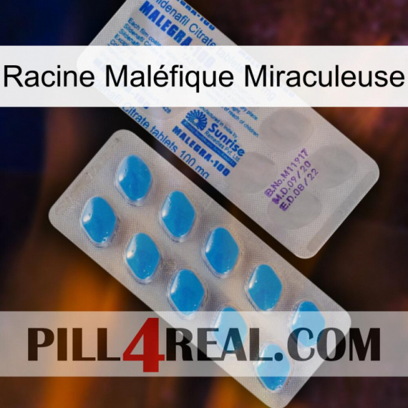 Racine Maléfique Miraculeuse new15.jpg